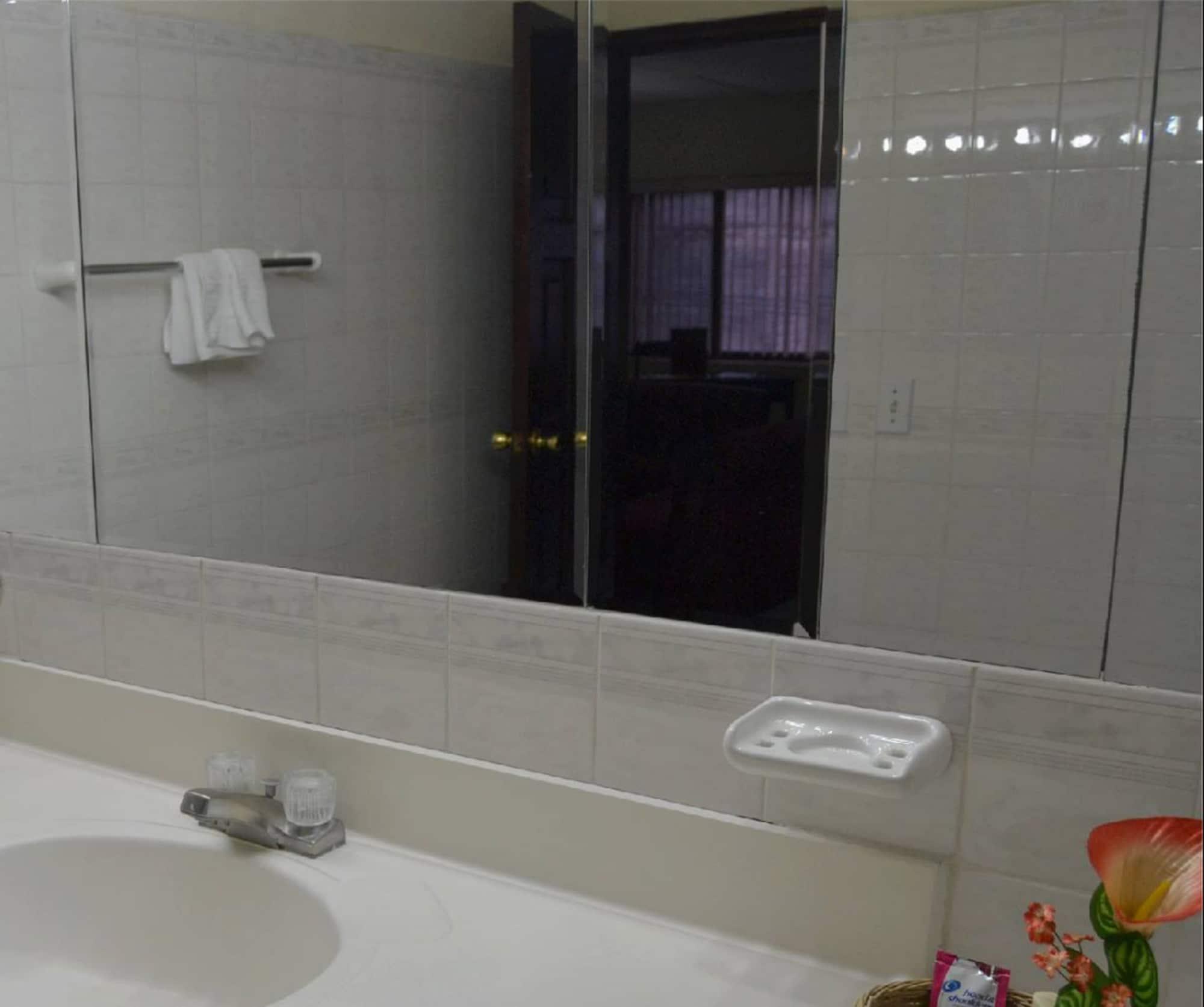 Hotel Excelsior テグシガルパ エクステリア 写真